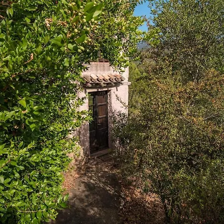 Domus Delle Stelle 1 - Padronale Con Piscina Villa *