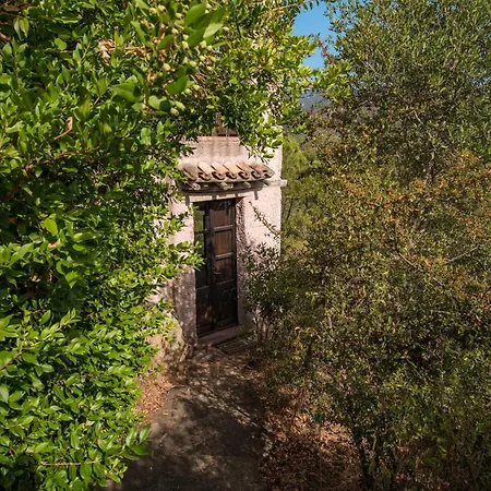 Domus Delle Stelle 1 - Padronale Con Piscina Villa *